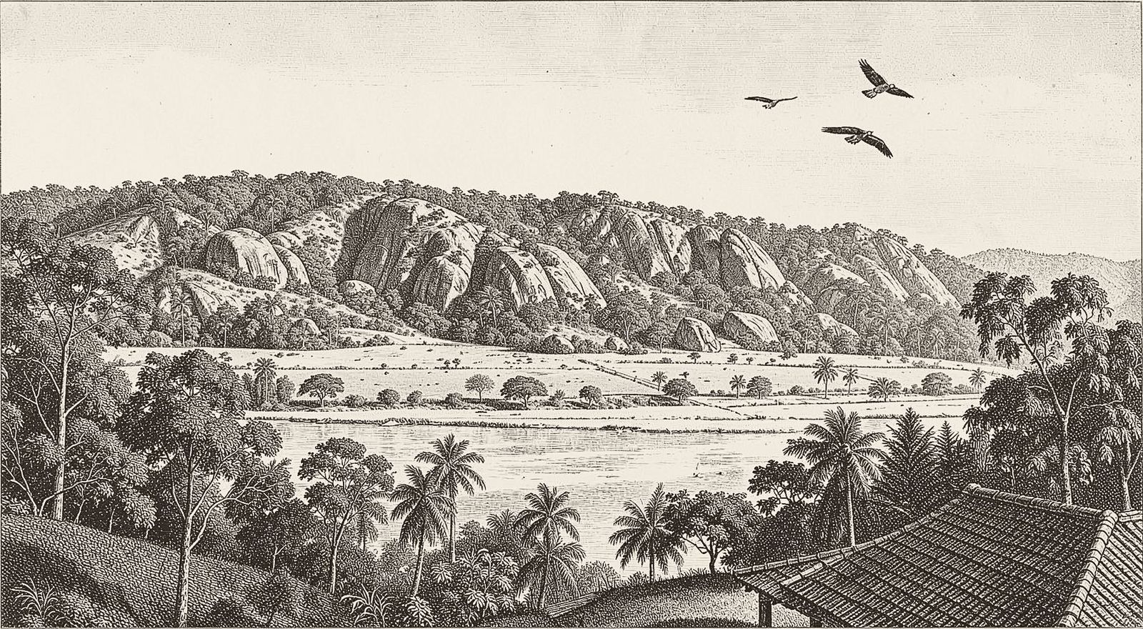 Engraving of the Daltonganj hills from Ladigarh