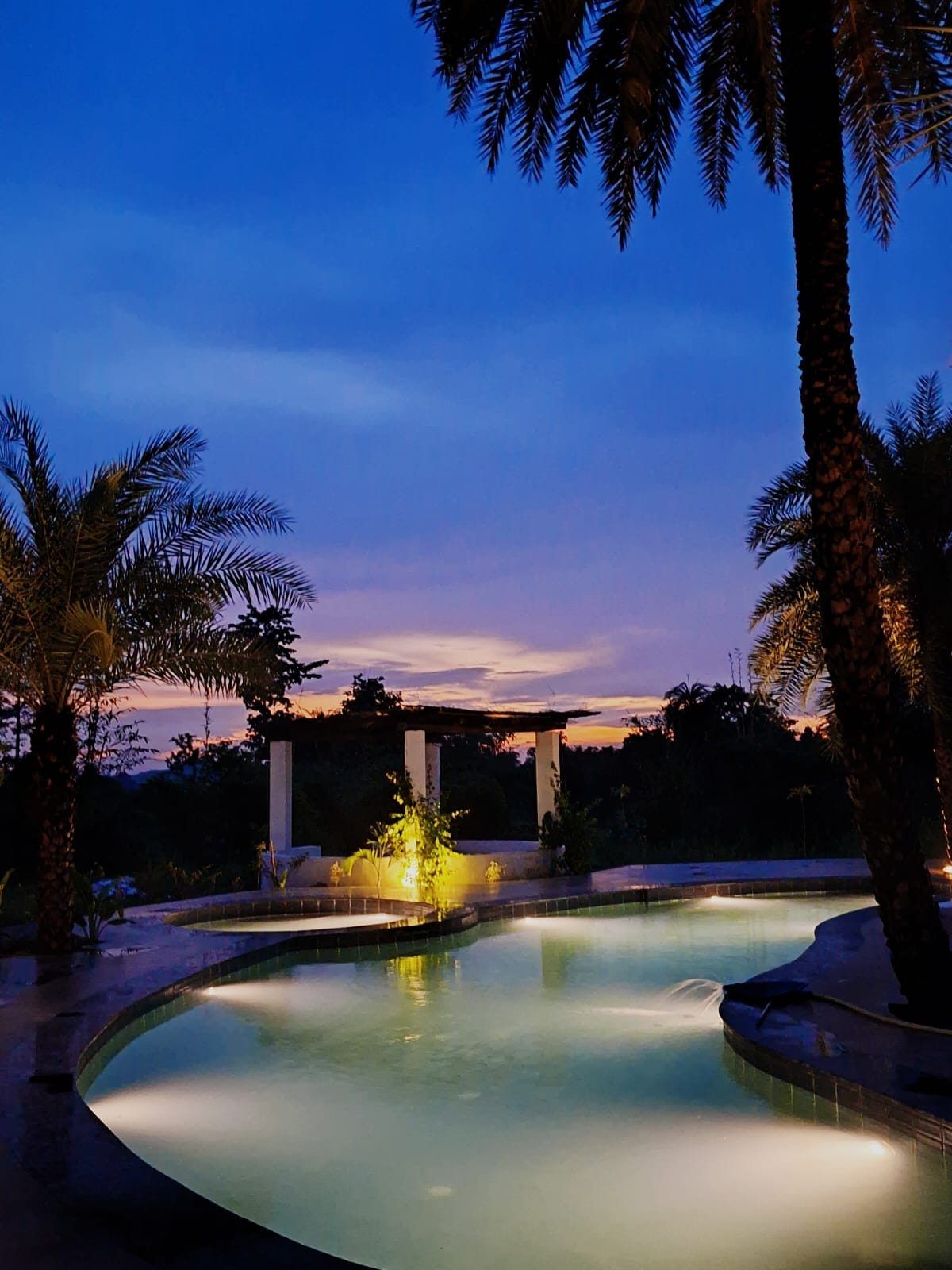 The pool at dusk under date palms, lights coming on