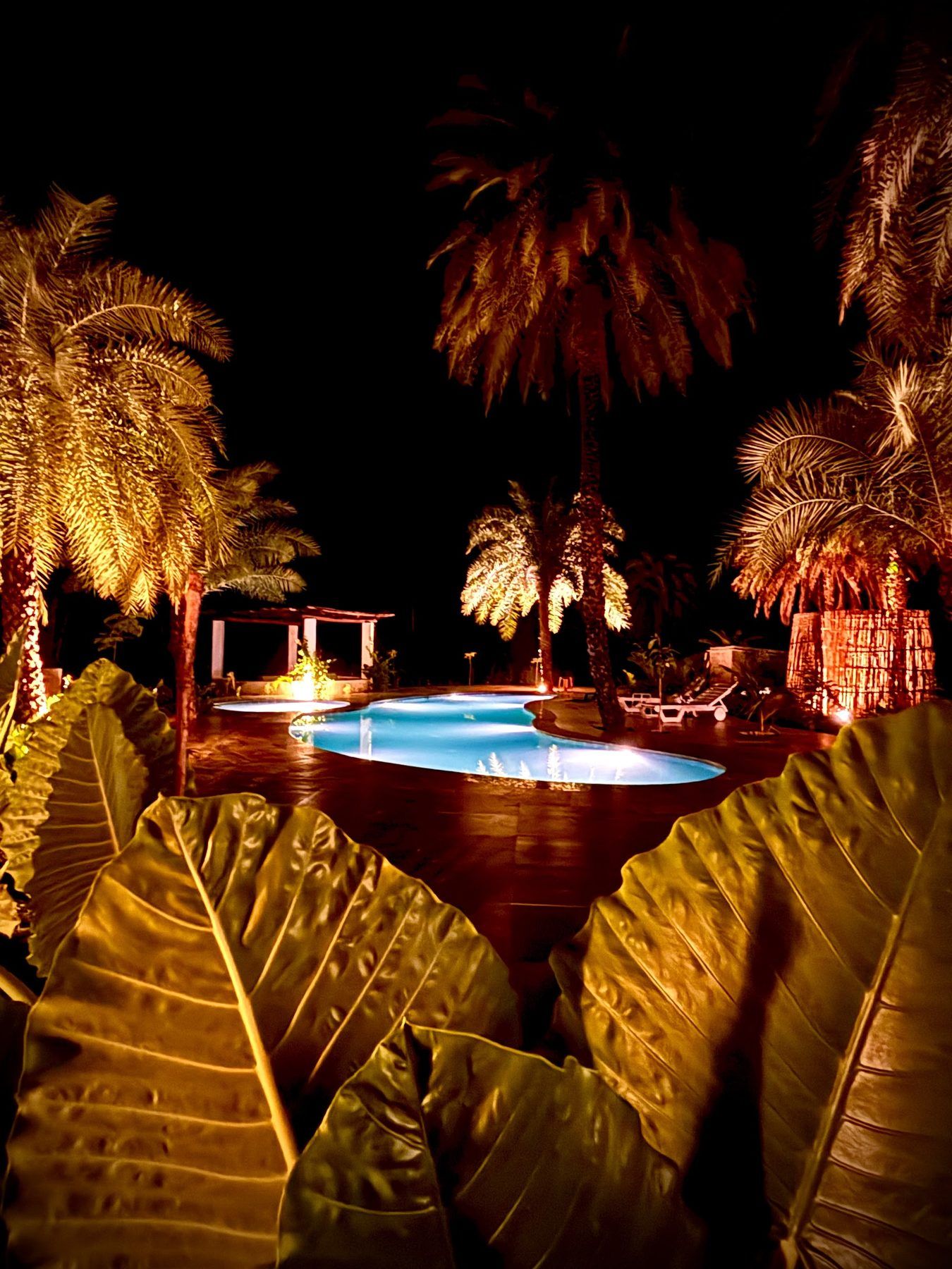 The pool at night framed by lit palm fronds