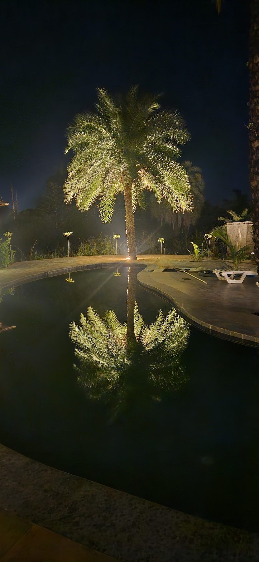 Lit palms reflected in the pool at night