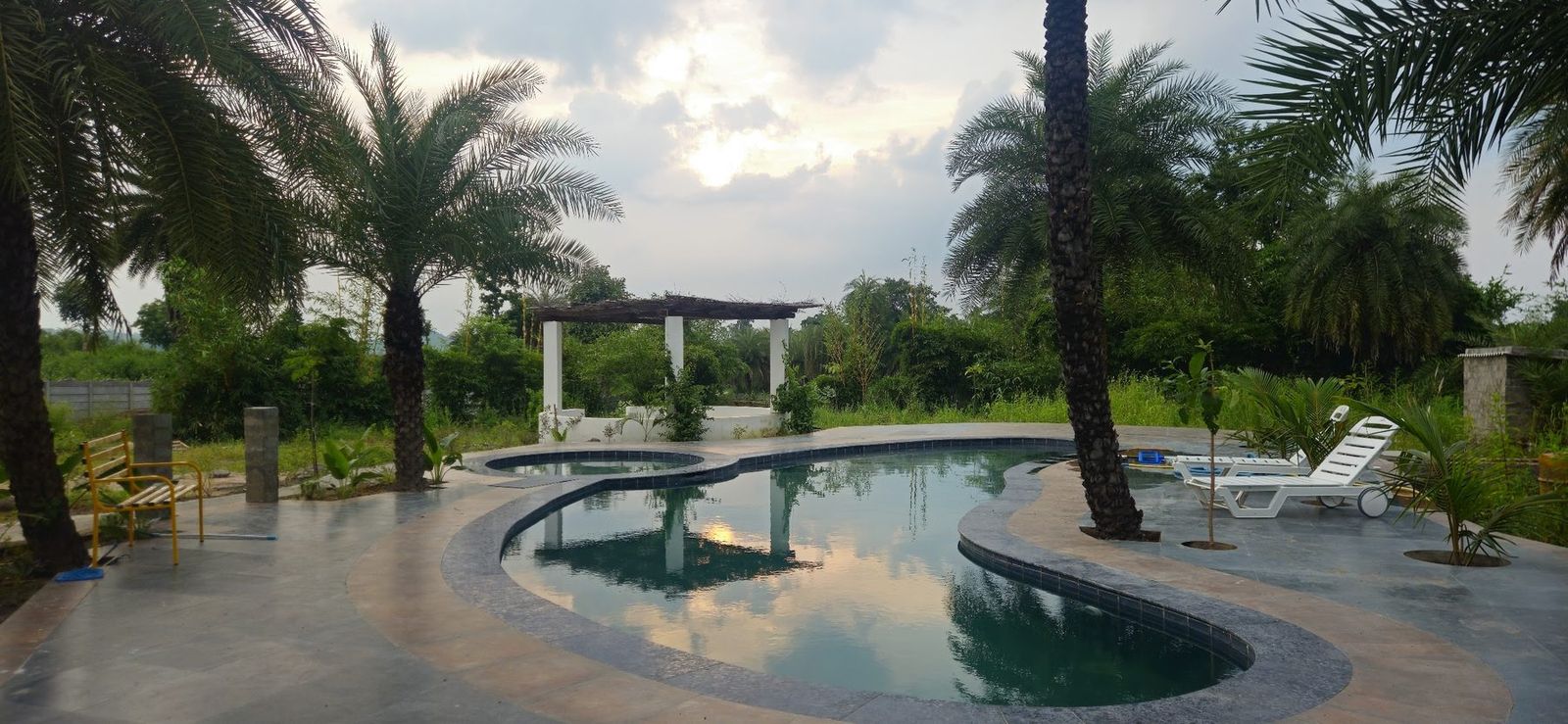 The pool among date palms, late afternoon