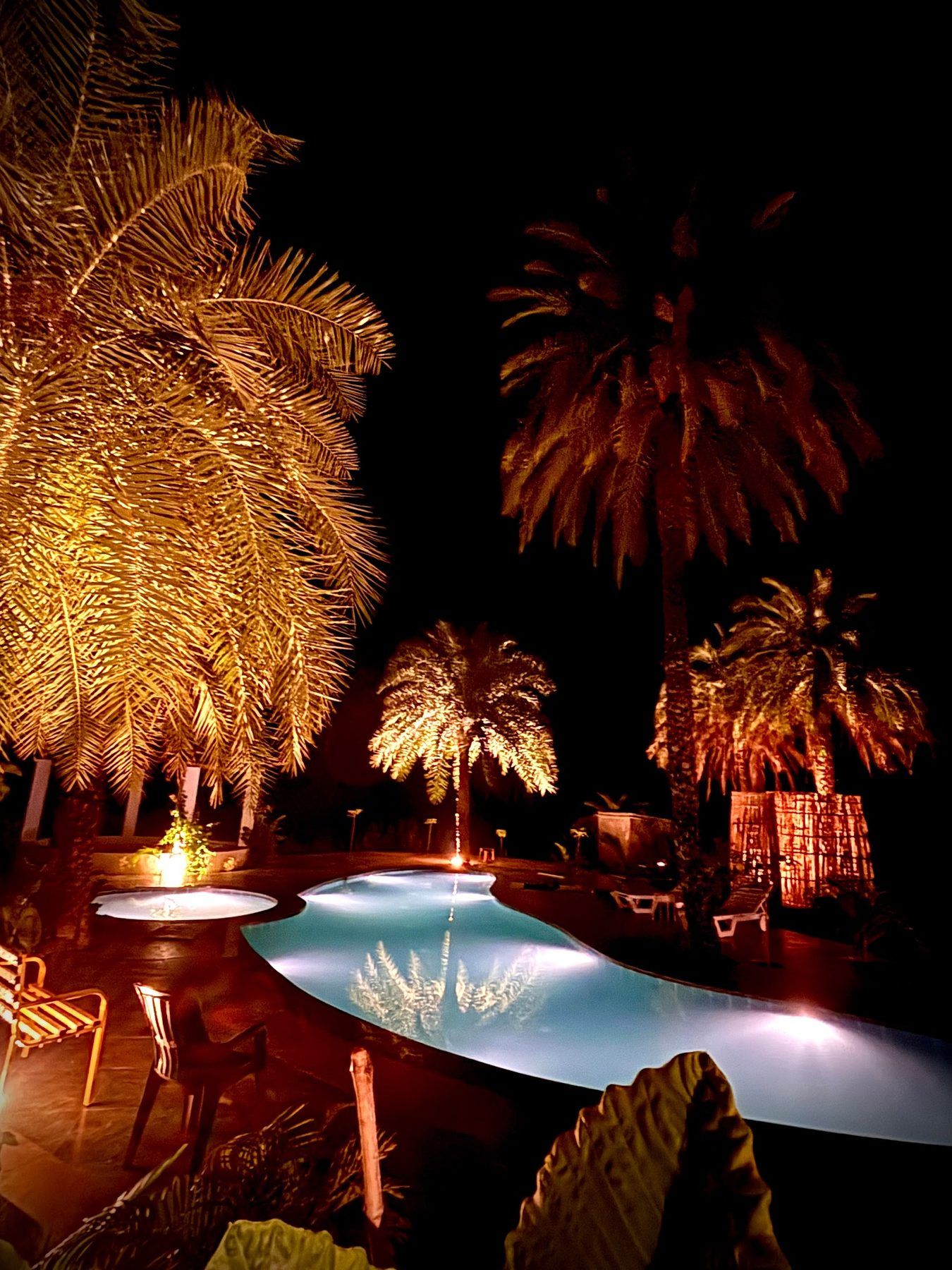 The pool at night under date palms lit gold