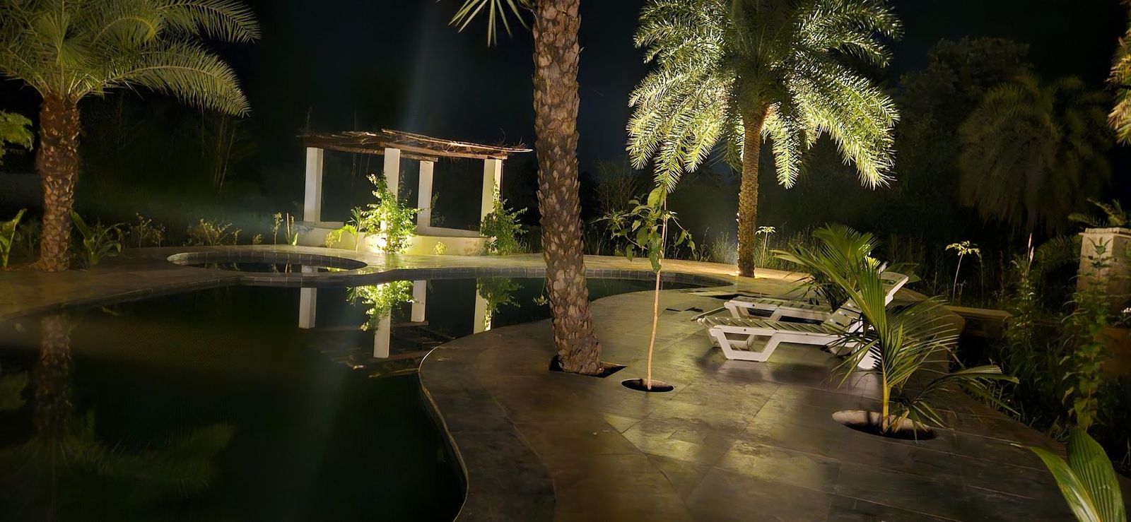 The pool at night under lit date palms