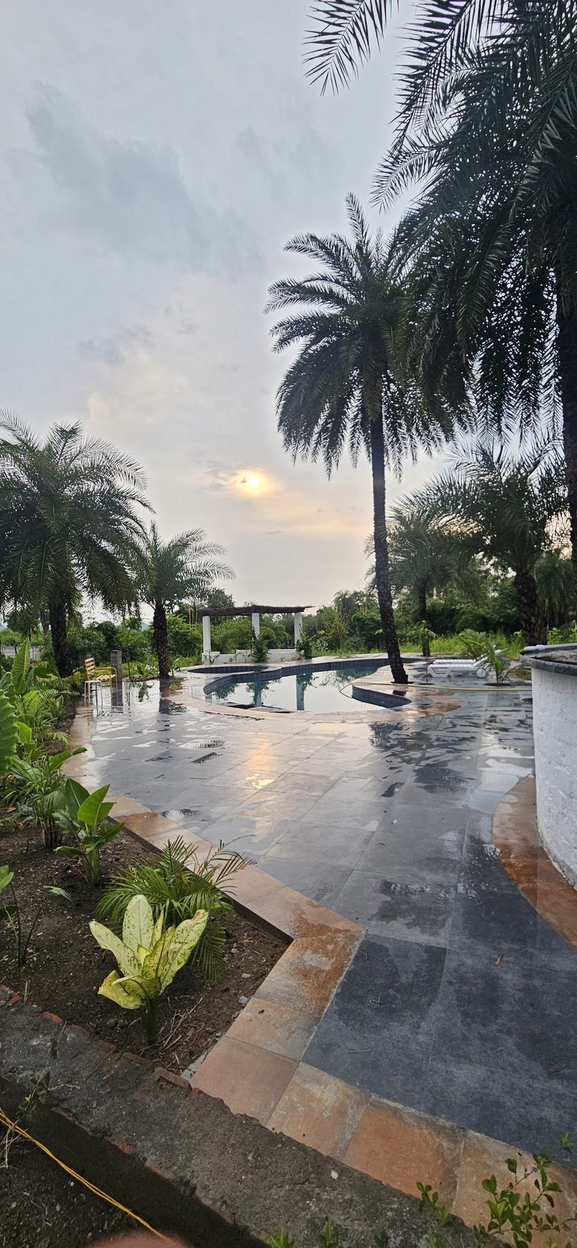 Wet stone pool deck at dusk among palms