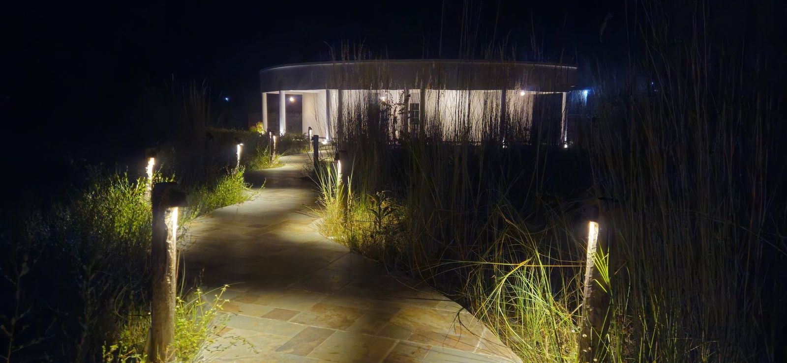 A lamp-lit path through kans grass to a cottage at night