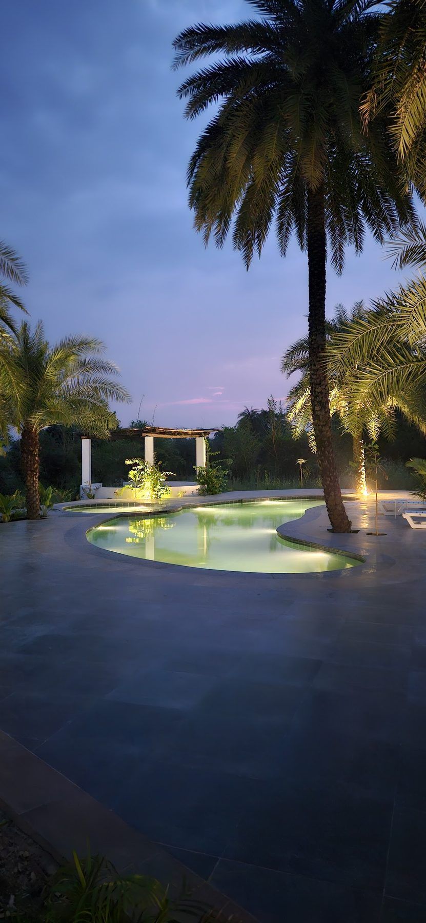 The pool lit at blue hour under palms